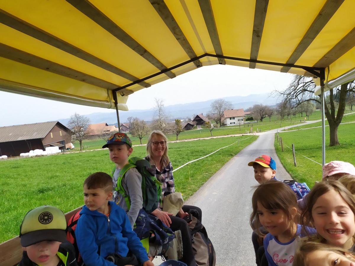 Kutschfahrt 12